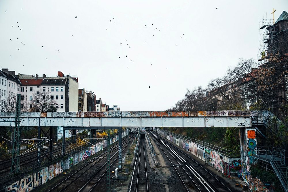 Graffiti walls near a train subway bridge and tracks
