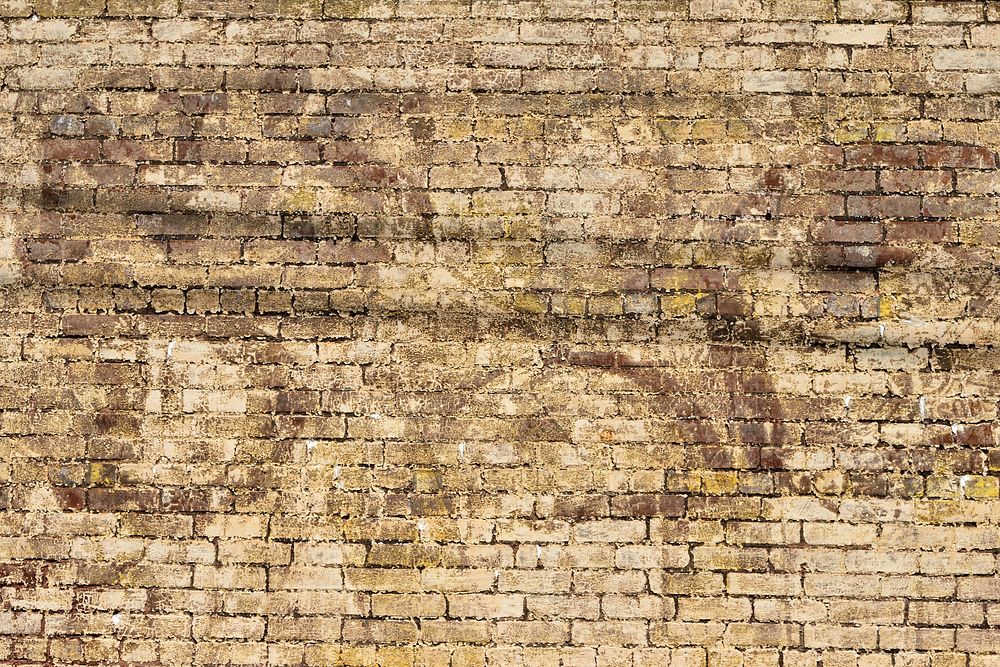 Brick wall texture. Free public domain CC0 photo.