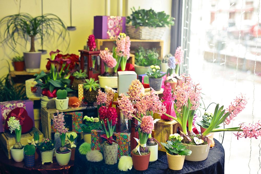 A flower shop display section with variety of flowers and plants on the table during the day time