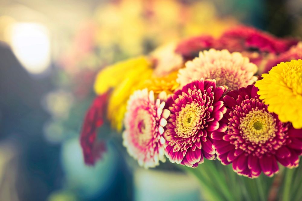 Red, yellow and pink flowers with bokeh background
