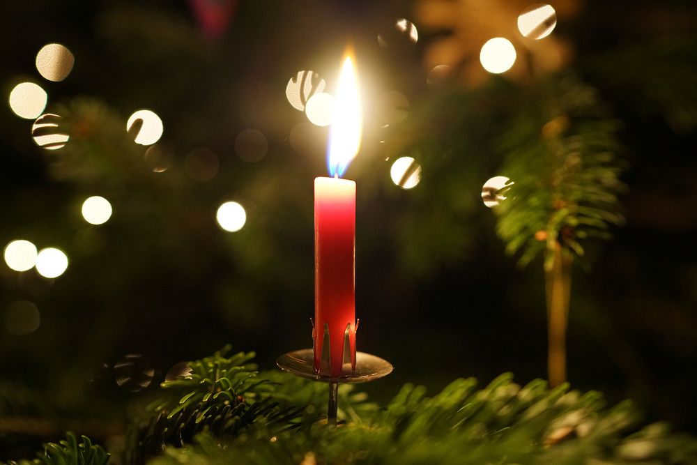 Christmas candle. Free public domain CC0 image.