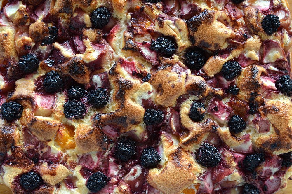 Close up blueberry cake. Free public domain CC0 photo.