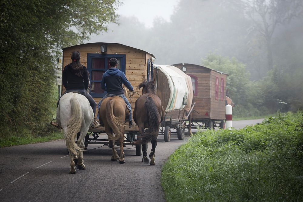 Gypsy horse caravan. Free public domain CC0 photo.