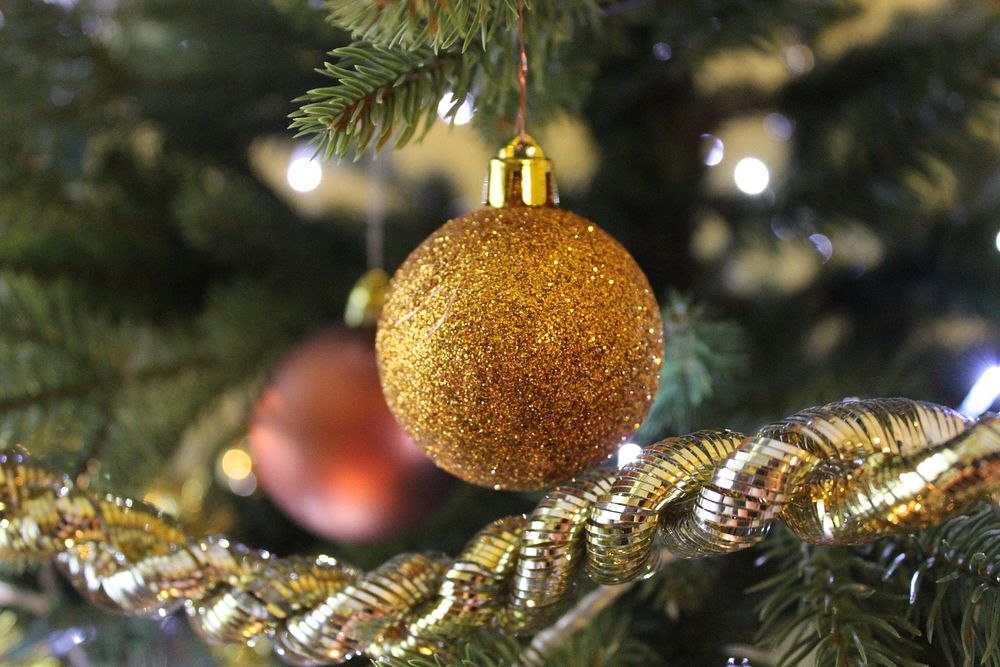Closeup on golden ornament hanging on Christmas tree. Free public domain CC0 photo.