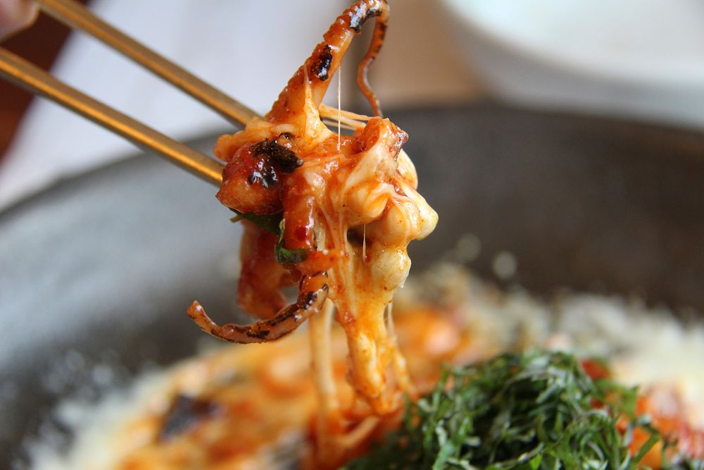Closeup on chopstick holding cheesy octopus dish. Free public domain CC0 image.