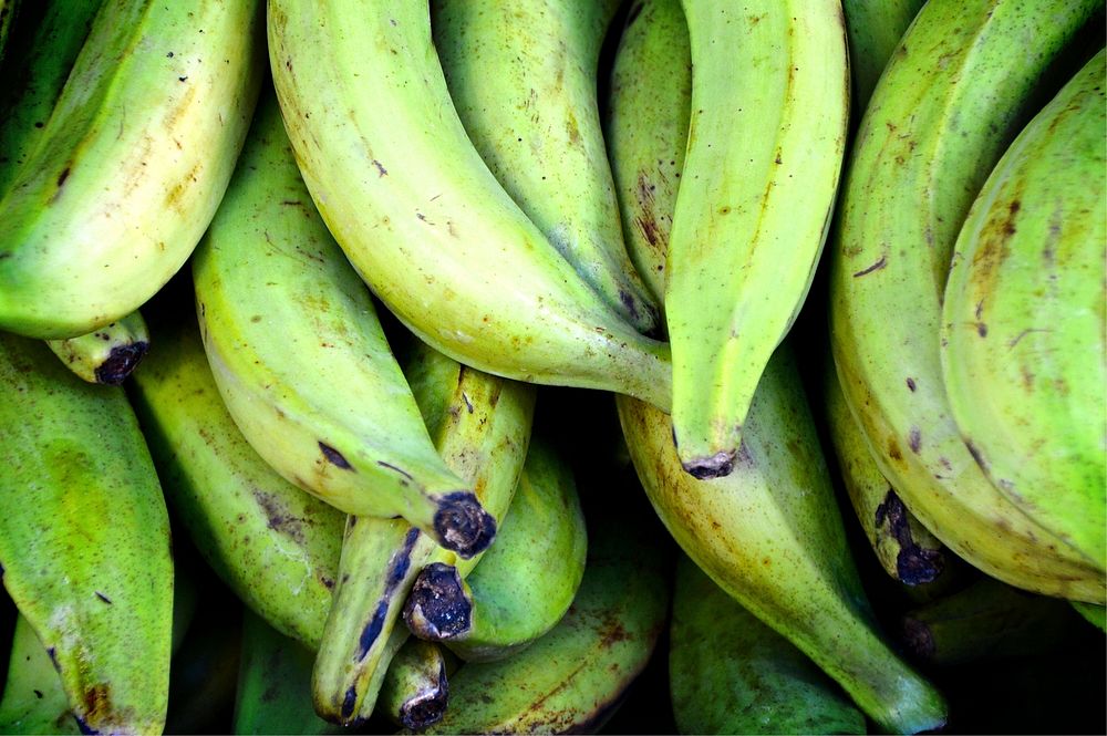Pile of unripe green bananas. Free public domain CC0 photo.