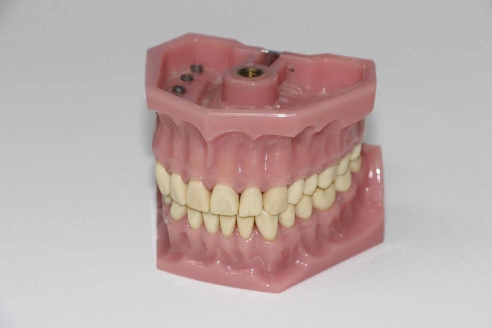 Denture, teeth. Free public domain CC0 image.