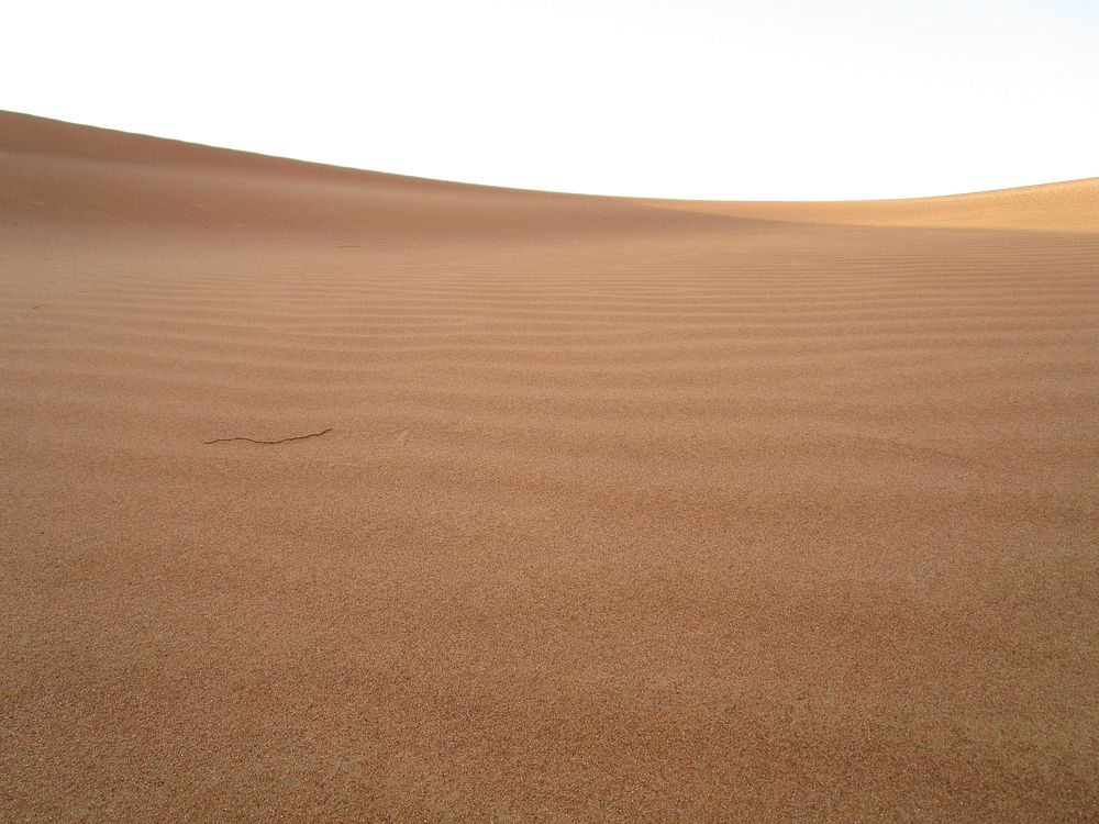 Empty desert landscape scenery. Free public domain CC0 image.