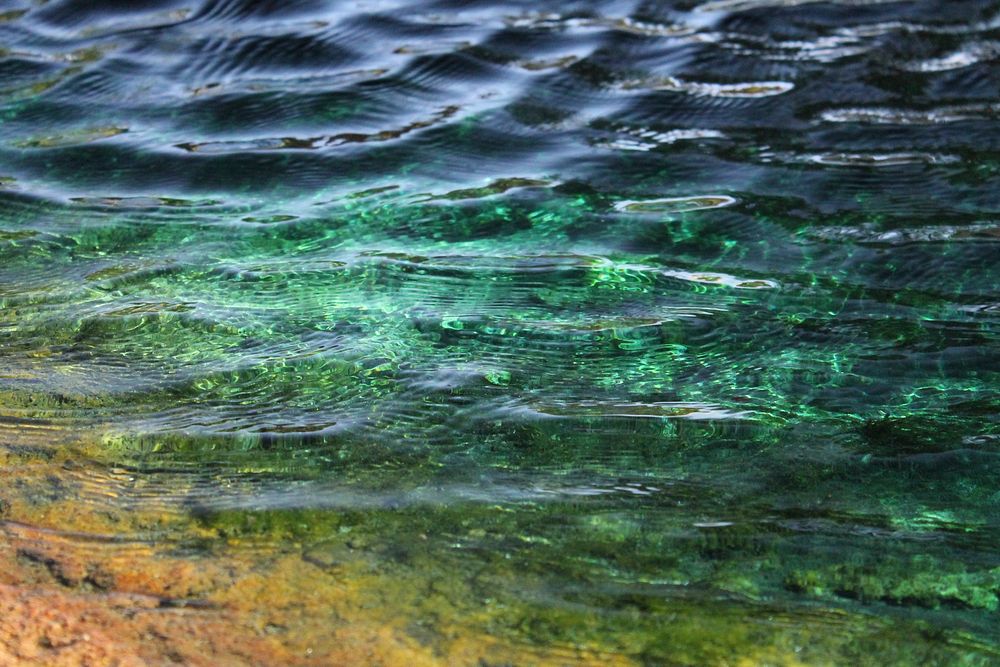 Green sea waves close up. Free public domain CC0 photo.