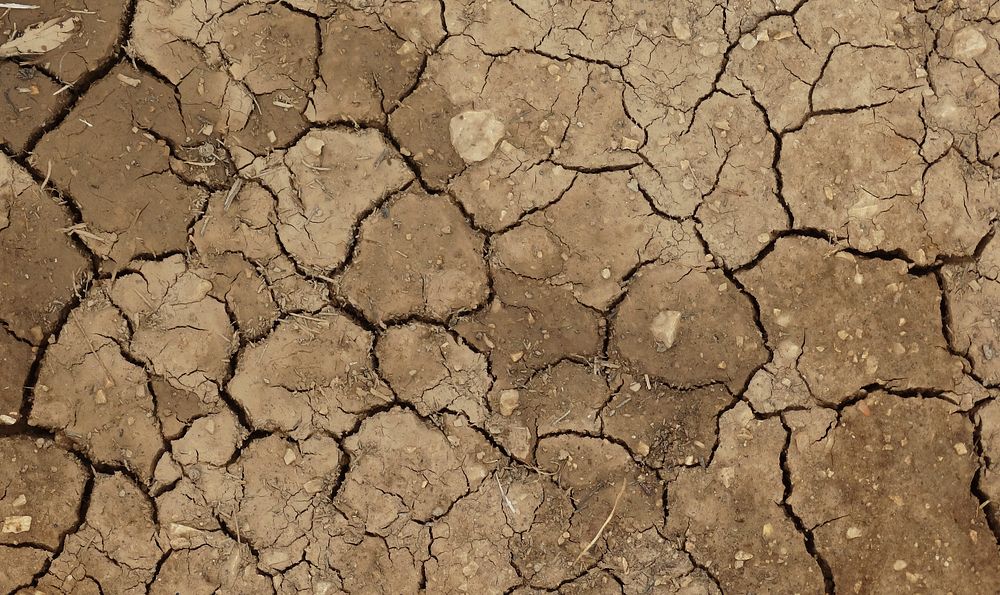 Dried ground, drought area. Free public domain CC0 image.