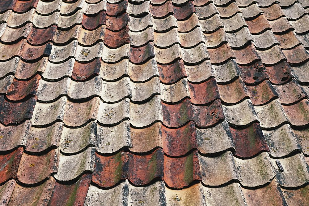 Roof tiles. Free public domain CC0 photo.