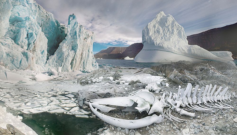 Melting glacier during daytime. Free public domain CC0 image. 