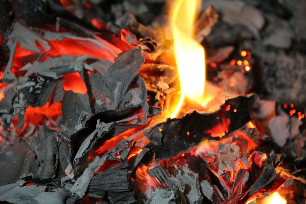 Fire background, burning firewood. Free public domain CC0 image.