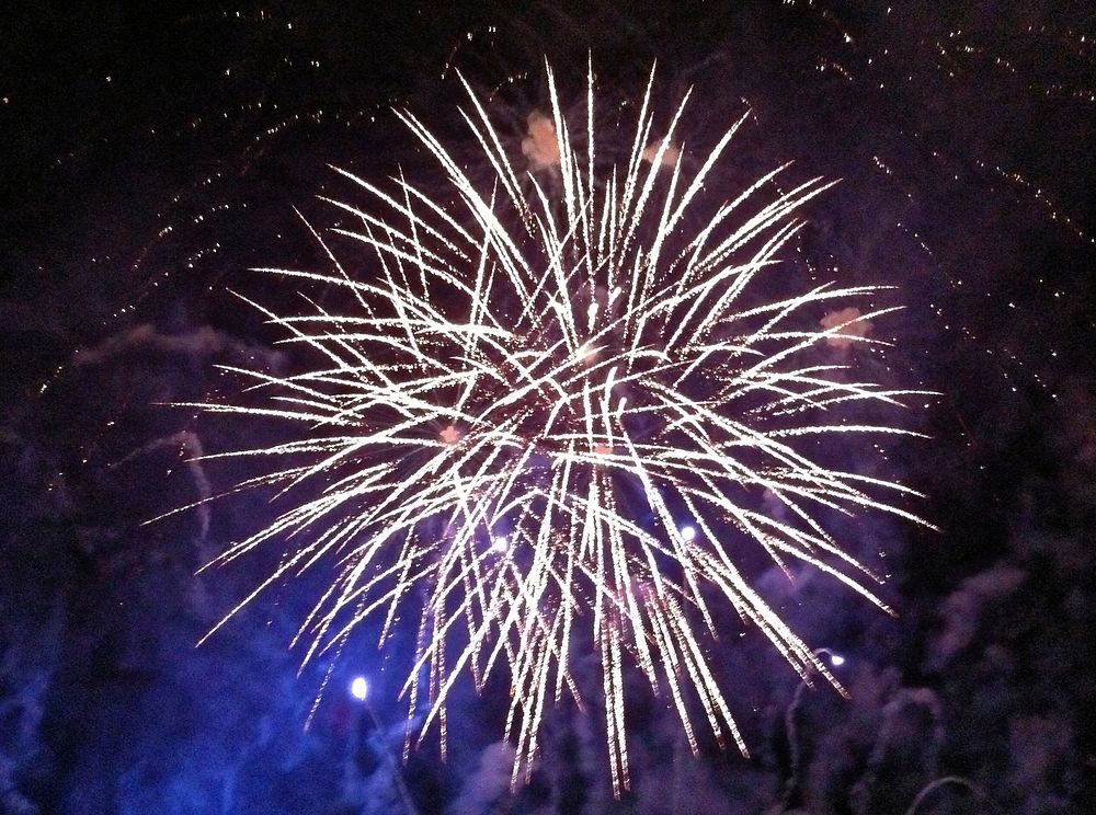 Beautiful fireworks in the night sky. Free public domain CC0 image.