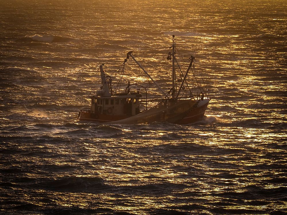 Fishing boat sailing during sunset. Free public domain CC0 photo.