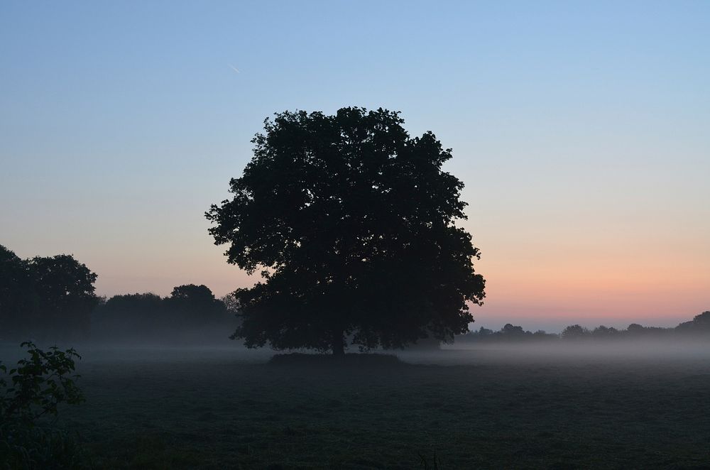 Sunrise view, nature background. Free public domain CC0 photo.