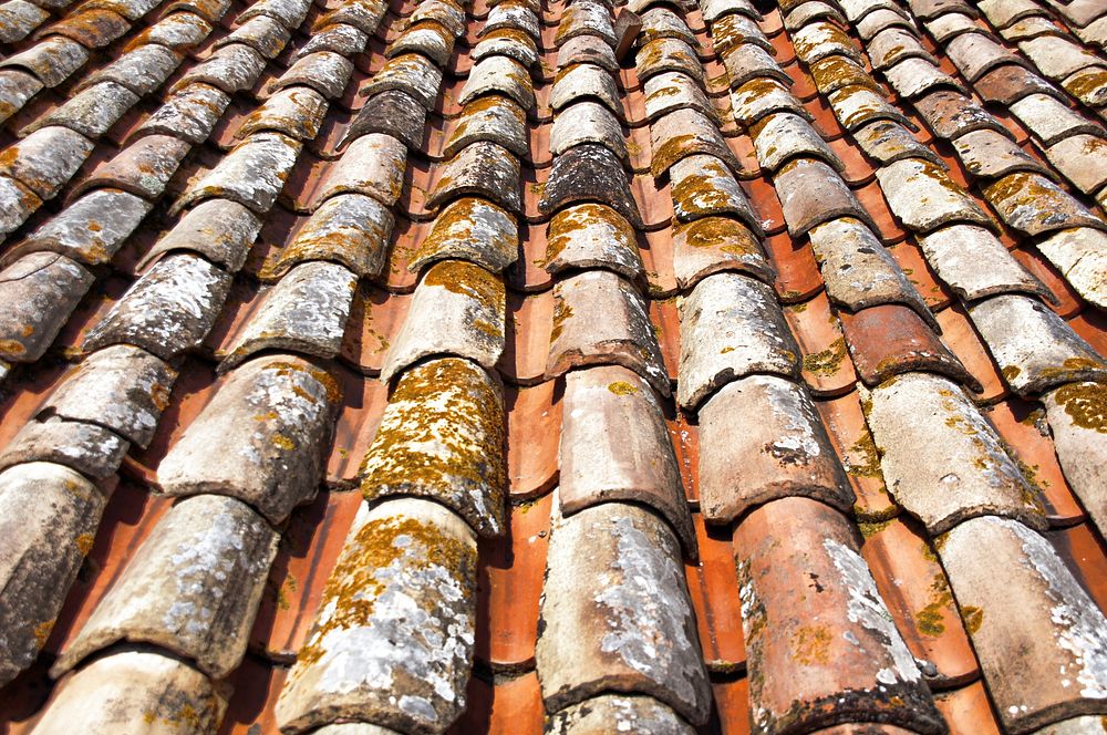 Clay roof tiles. Free public domain CC0 photo.