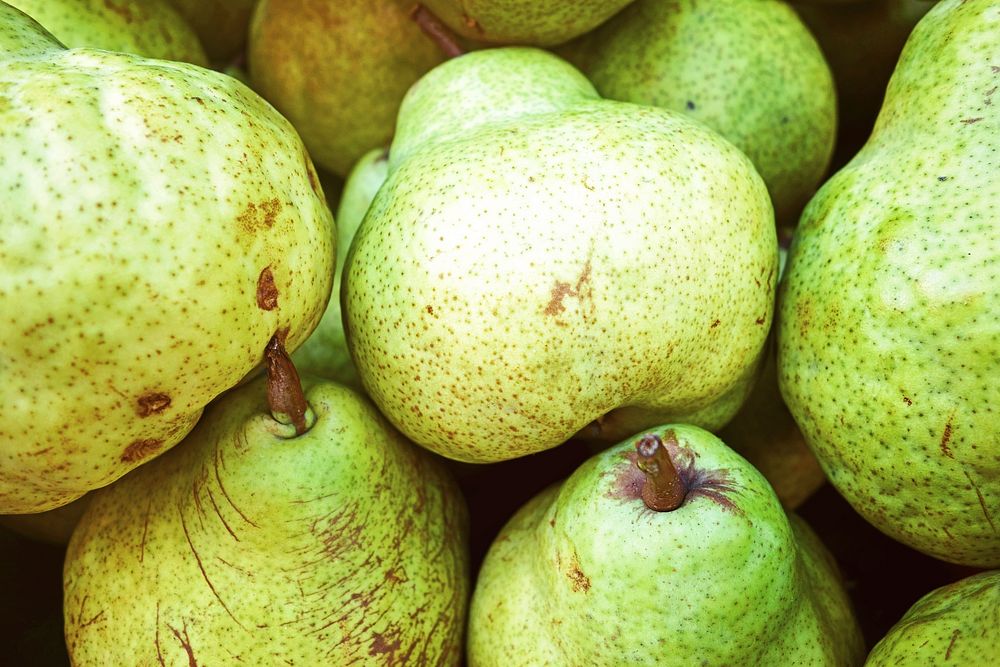Closeup on pile of green pears. Free public domain CC0 photo. 