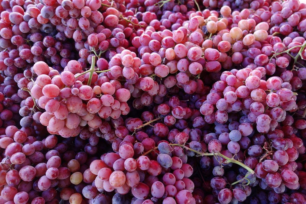 Closeup on pile of red grapes. Free public domain CC0 photo.
