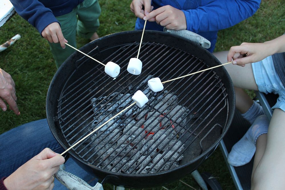 Grilling marshmallows over charcoal. Free public domain CC0 photo.
