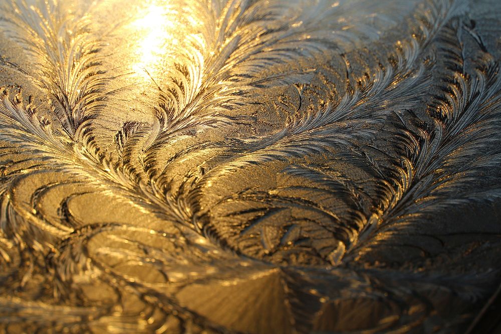 Golden frost texture. Free public domain CC0 photo.