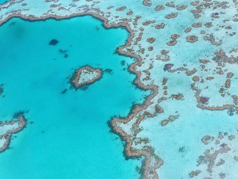 Heart reef aerial view, Australia. Free public domain CC0 photo.