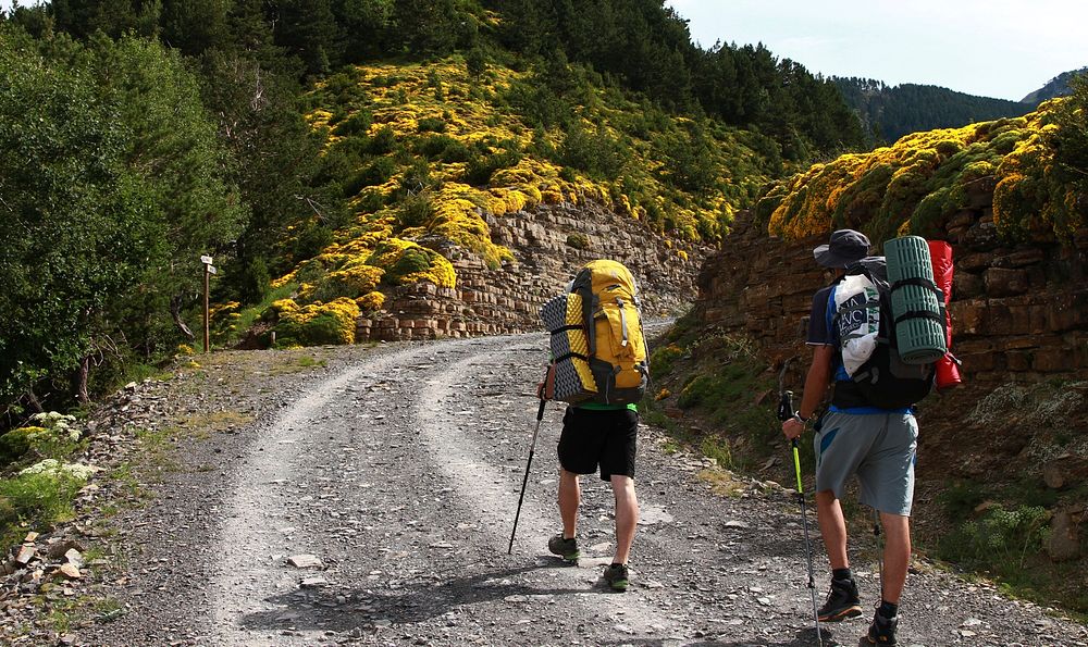 Men trekking in summer. Free public domain CC0 image.