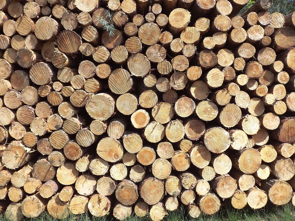 Pile of timber background. Free public domain CC0 photo.