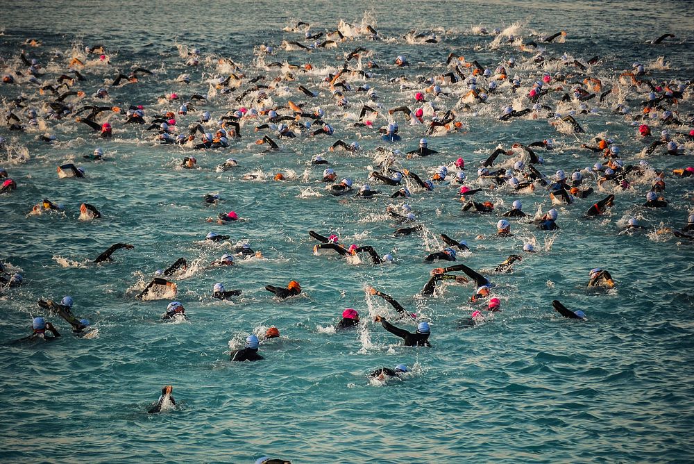 Triathlon swimmers, sports photography. Free public domain CC0 image.