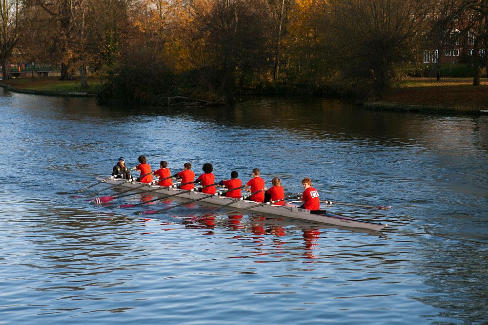 Rowing team practicing. Free public domain CC0 photo.