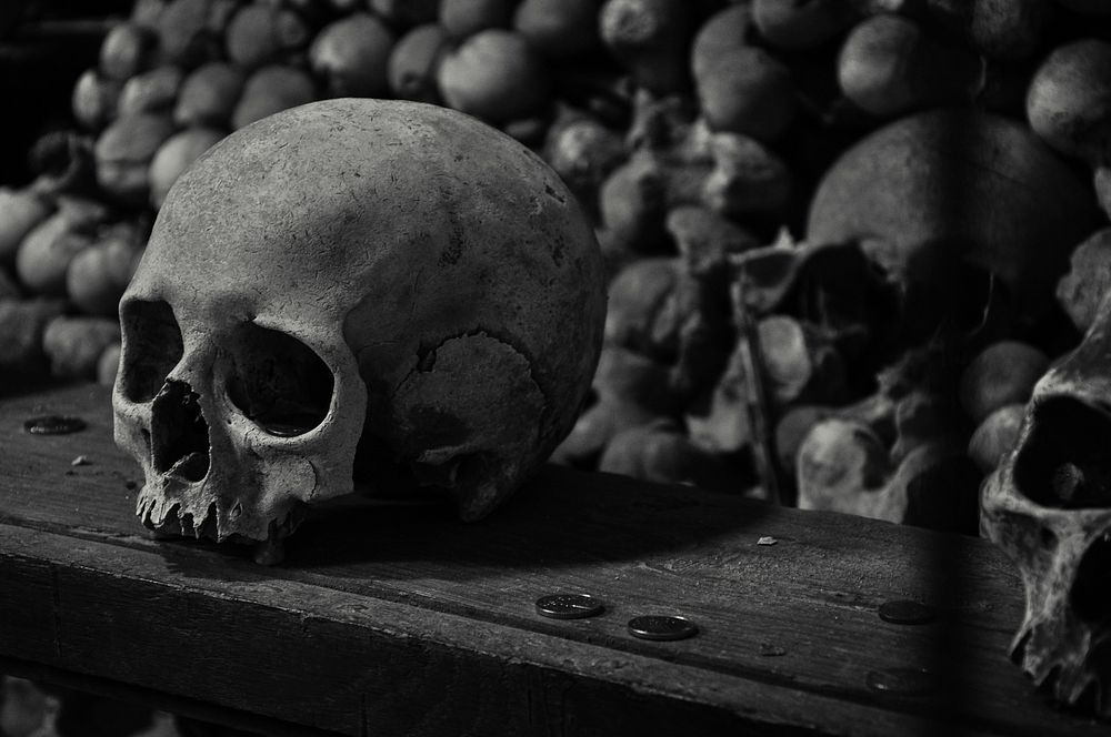 Skull bones. Free public domain CC0 image.