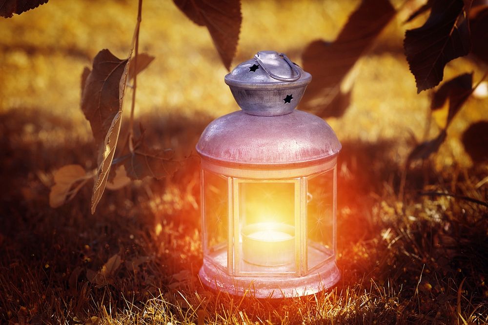 Lantern light on grass. Free public domain CC0 photo.