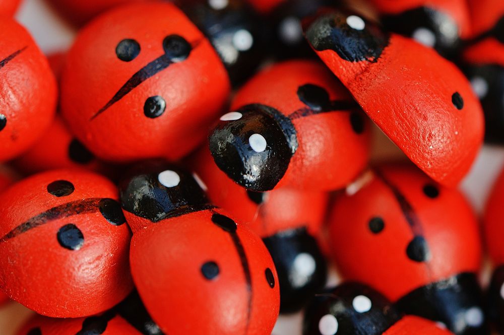 Ladybug toys. Free public domain CC0 image.