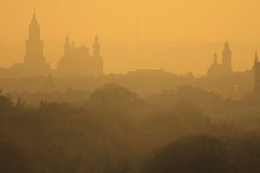 Foggy Poland scenery.  Free public domain CC0 image.