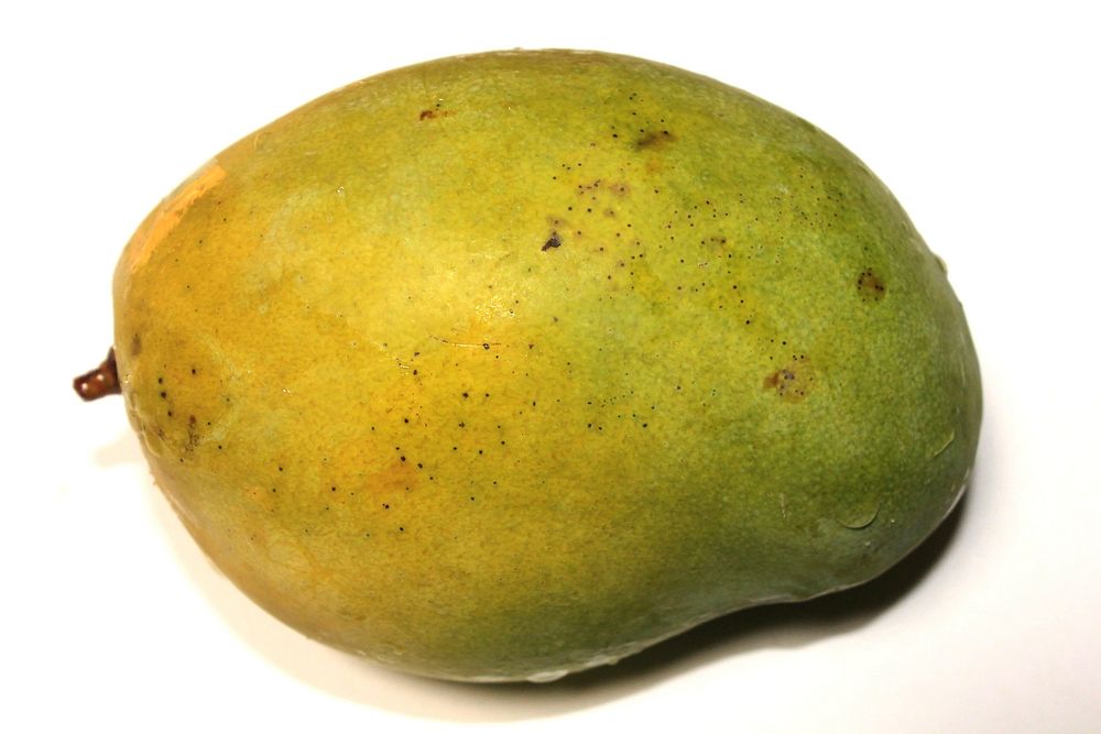 Closeup on mango fruit on white background. Free public domain CC0 image.
