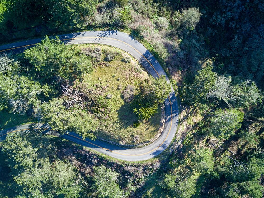 Aerial view of curved road through forest