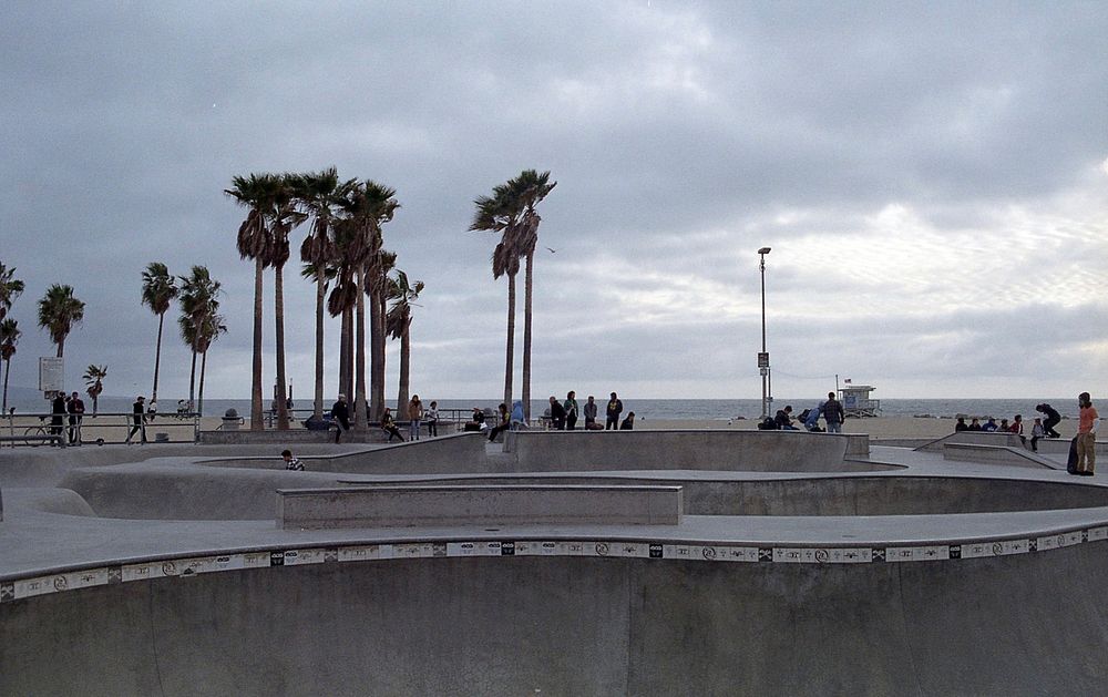 View of skateboard park with people and palm trees