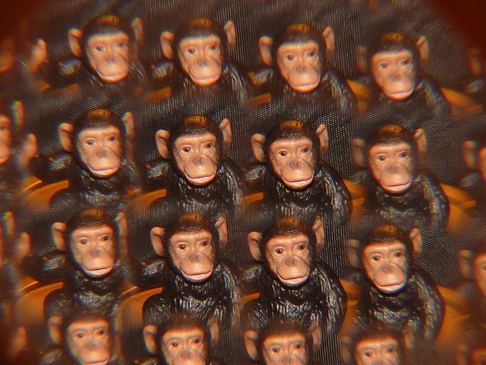 Monkey kaleidoscope art. Free public domain CC0 photo.