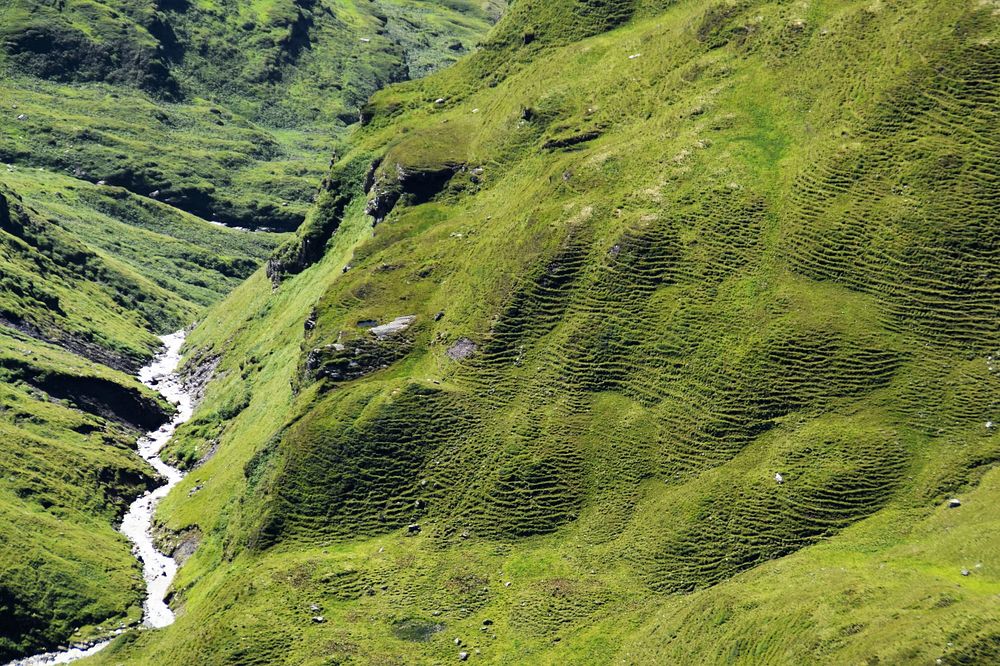 Small canal near green moss. Free public domain CC0 photo.