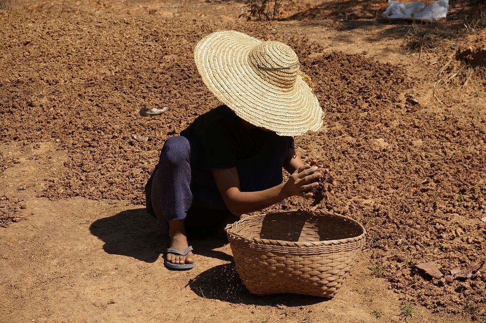 Farmer at Myanmar hill tribe. Free public domain CC0 photo.