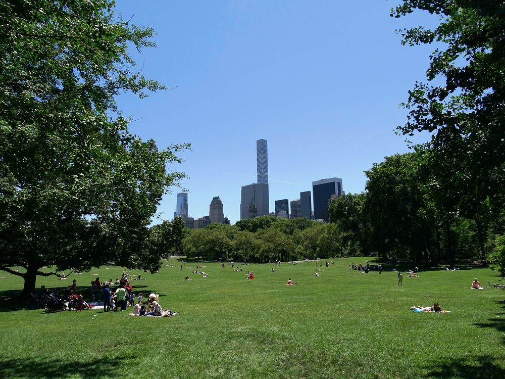 Summer in Central Park, New York. Free public domain CC0 photo.