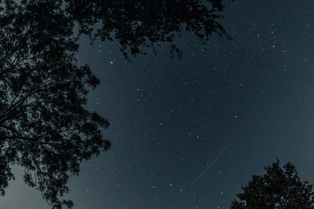 Starry night sky. Free public domain CC0 image.