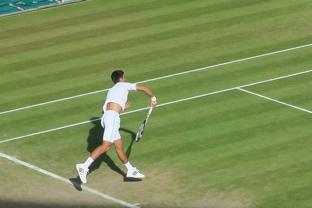 Novak Djokovic on tennis court, Wimbledon, London, August 17, 2016. View public domain image source here