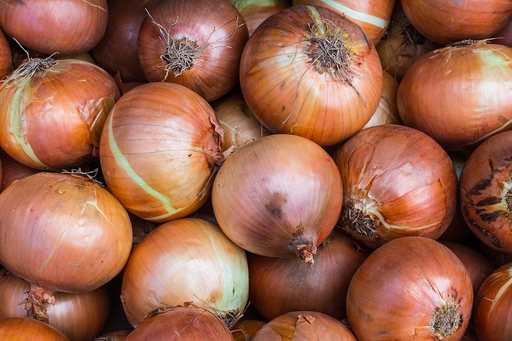 Onion vegetables. Free public domain CC0 photo
