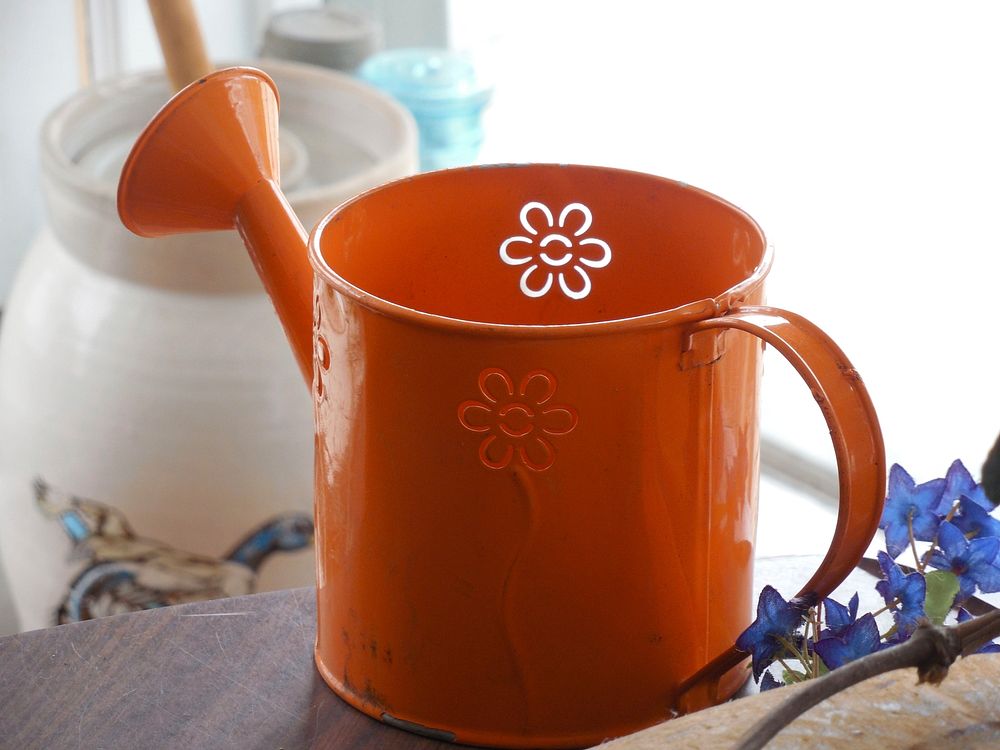 Orange watering can. Free public domain CC0 image.