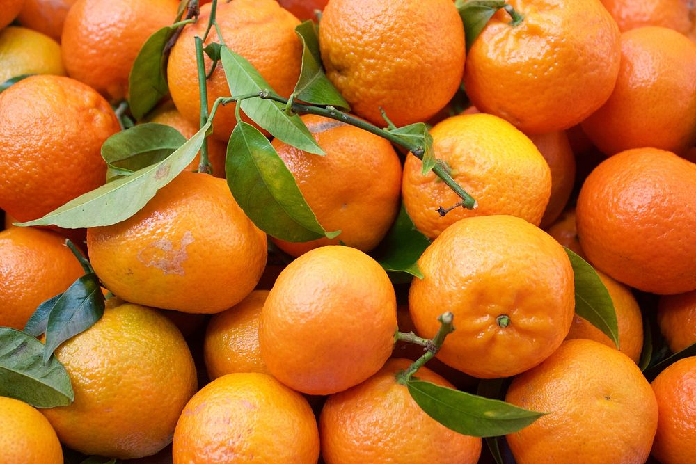 Closeup on pile of fresh mandarin oranges. Free public domain CC0 photo.