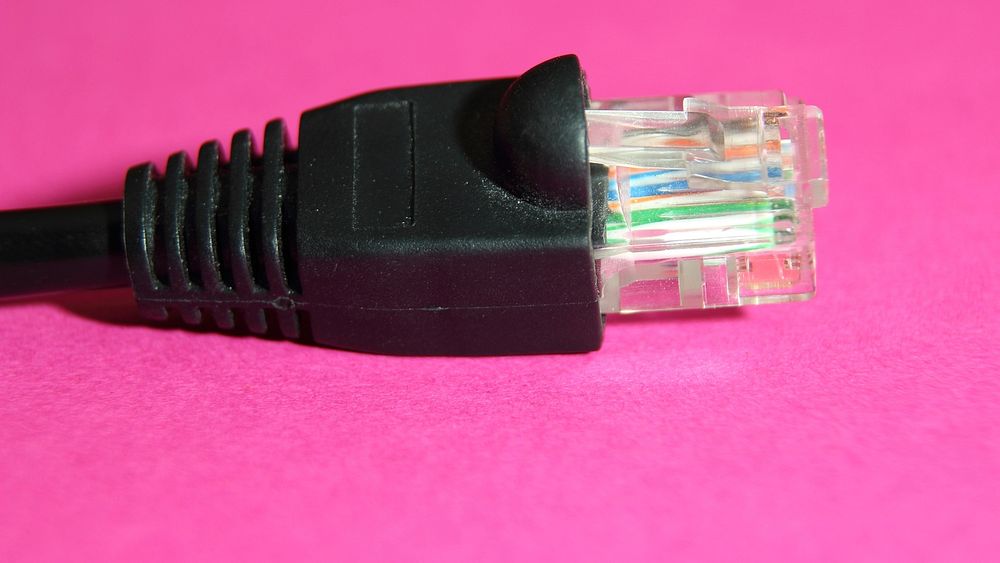 LAN cable plug on pink background. Free public domain CC0 photo.