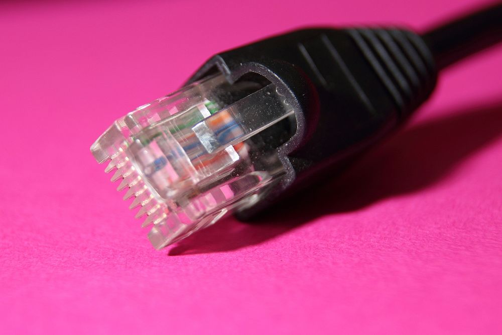 LAN cable plug on pink background. Free public domain CC0 photo.