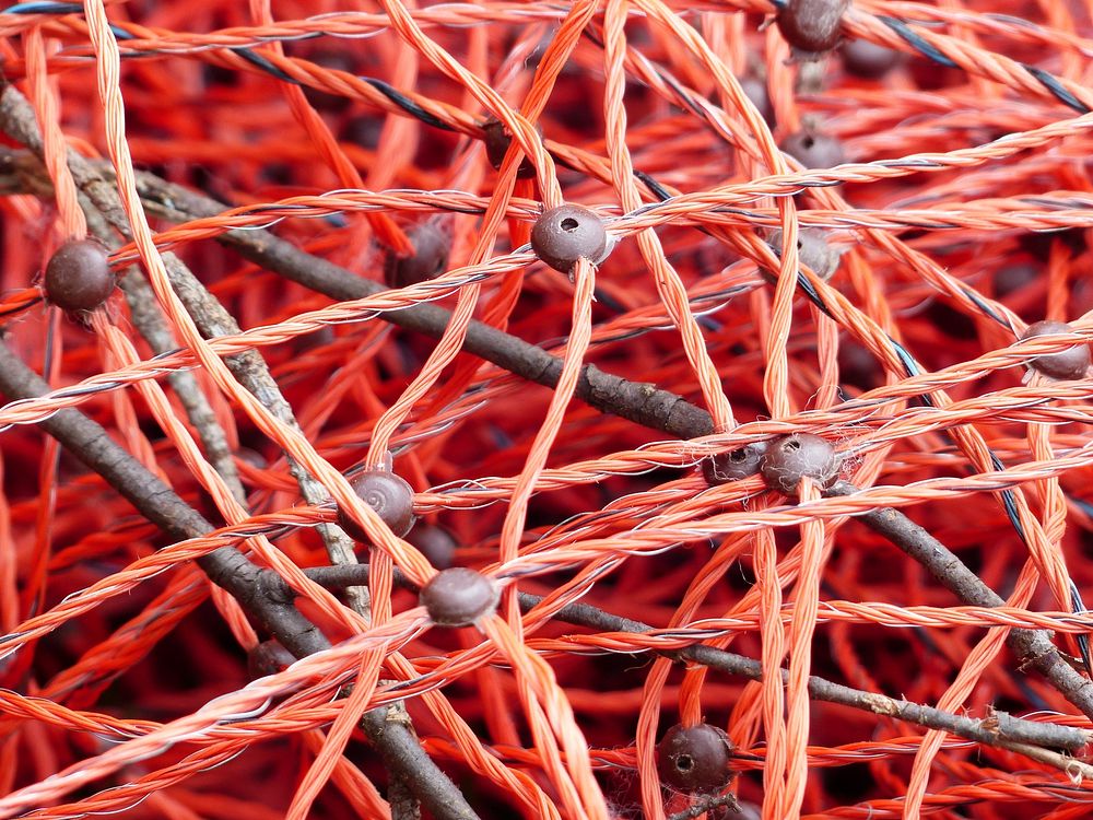 Plastic wires.  Free public domain CC0 photo.