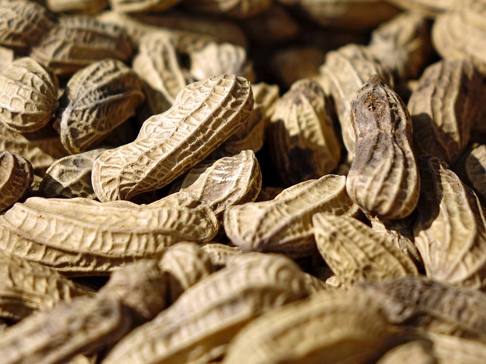 Pile of peanuts. Free public domain CC0 photo
